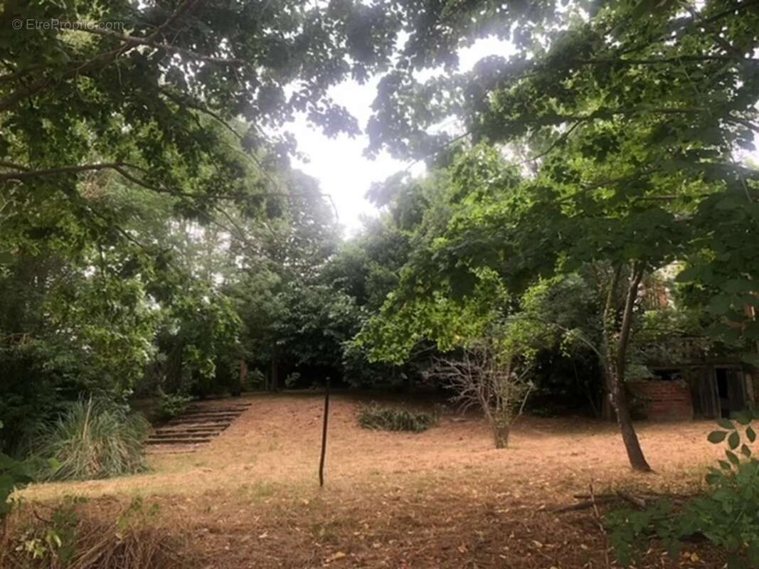 Propriété 3,55 hectares - photo 15