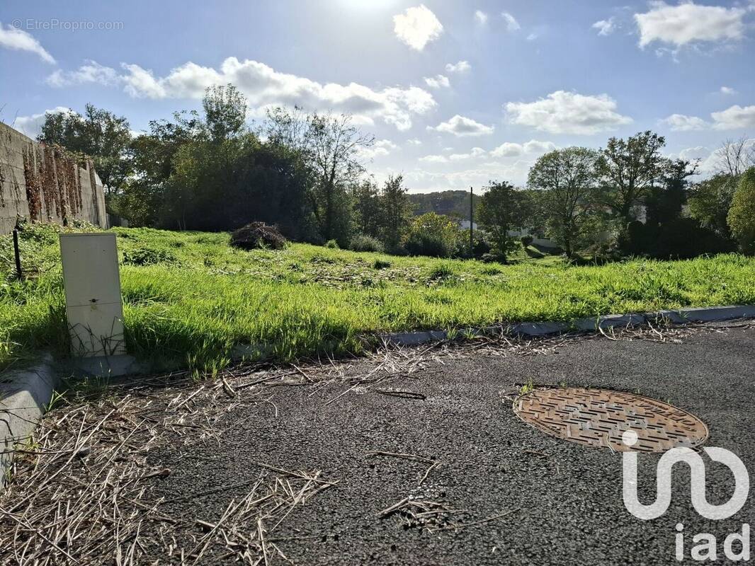 Photo 1 - Terrain à LA CHAPELLE-PALLUAU