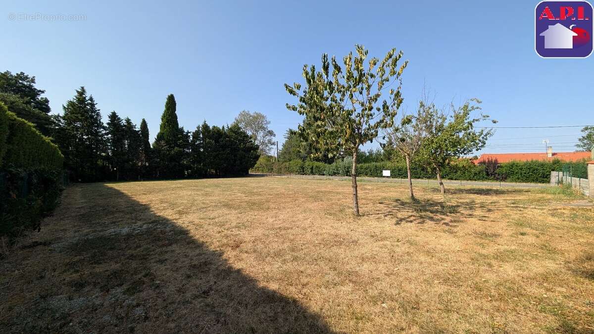 Terrain 990 m² à Saint-Leon  - photo 3