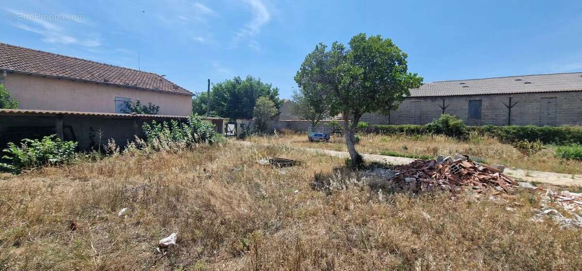 Terrain à SAINT-NAZAIRE-D'AUDE