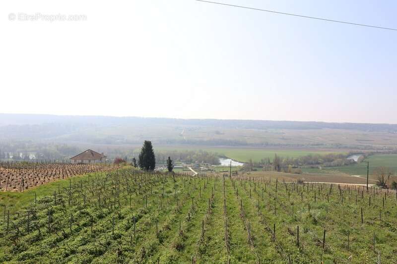 VENTEUIL(51) Maison à vendre 8 pièces avec une vue exceptionnelle sur le vignoble de la vallée de la marne - photo 6