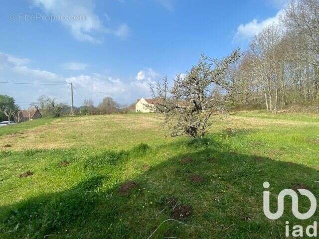 Photo 5 - Maison à MASCLAT