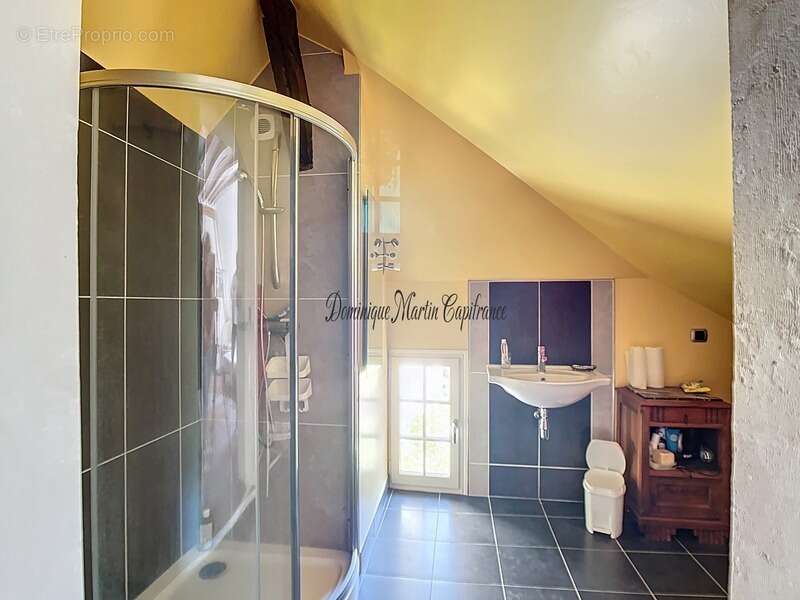 Maison à VILLEDIEU-LE-CHATEAU