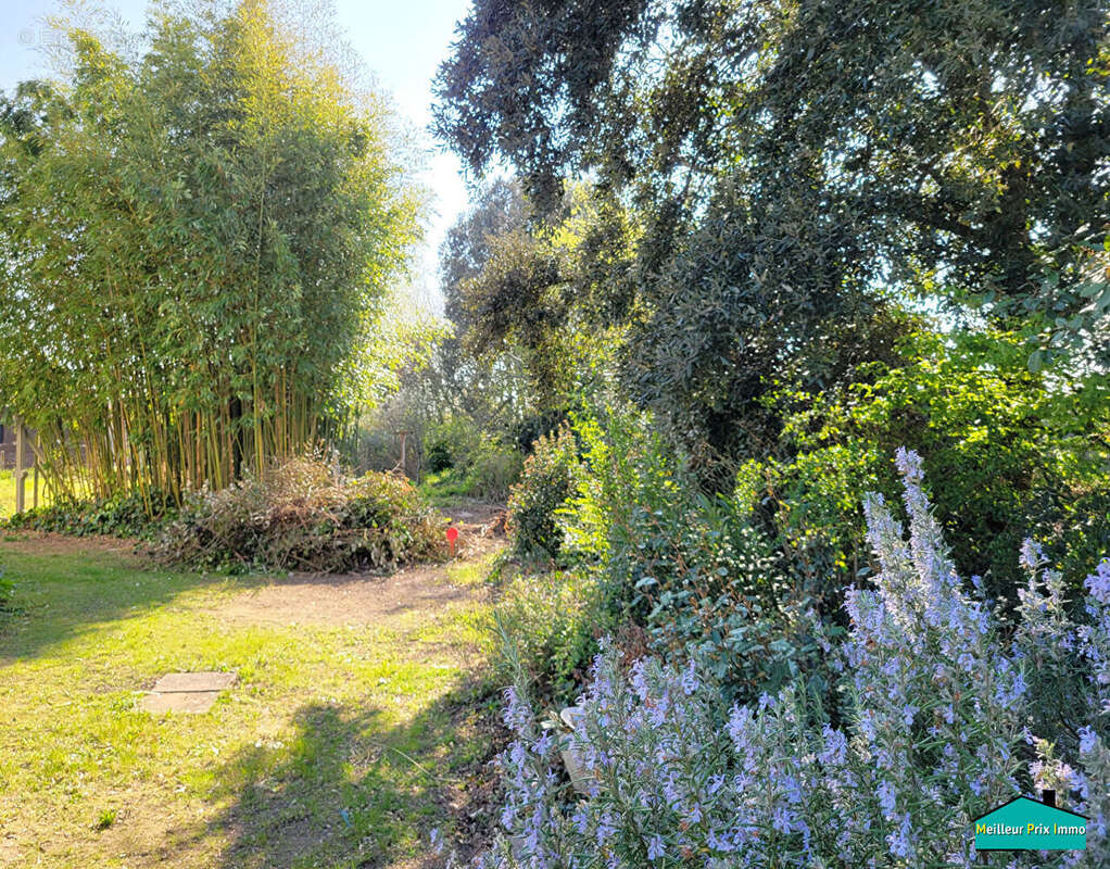 Terrain à MACHECOUL