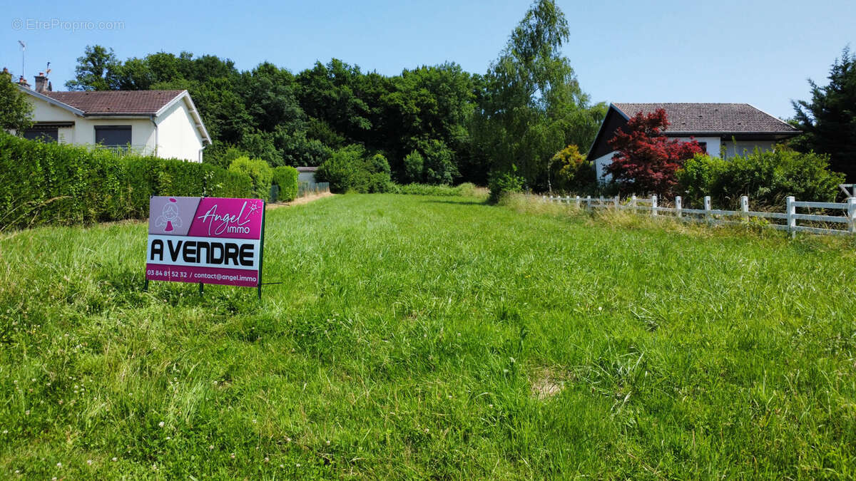 Terrain à ROCHEFORT-SUR-NENON
