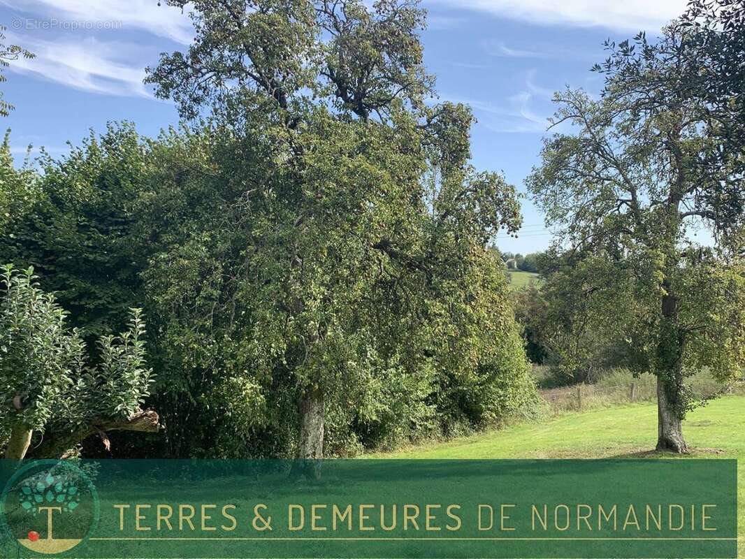 Maison à PONT-L'EVEQUE