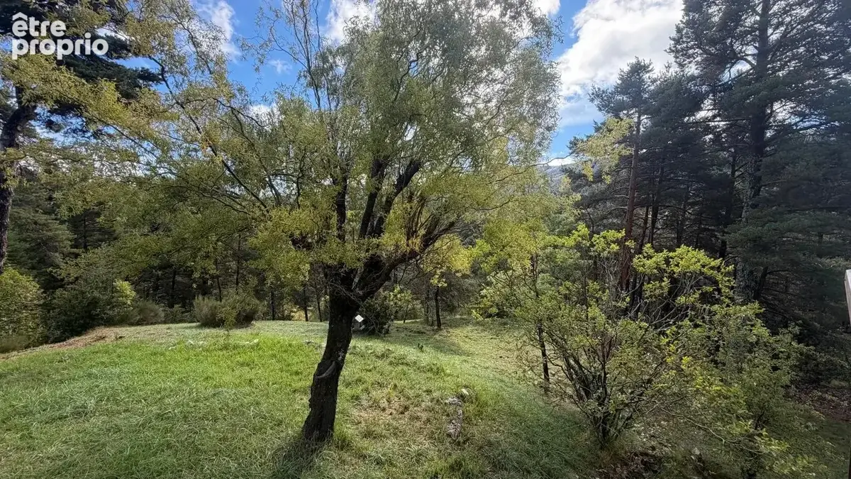Chalet en bois avec terrasse plein sud et grand terrain arboré de 2 680 m² - photo 15