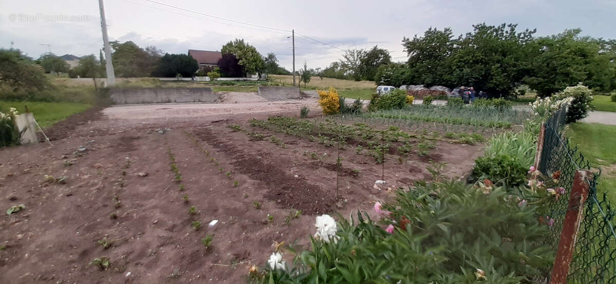 Terrain à ANTHELUPT