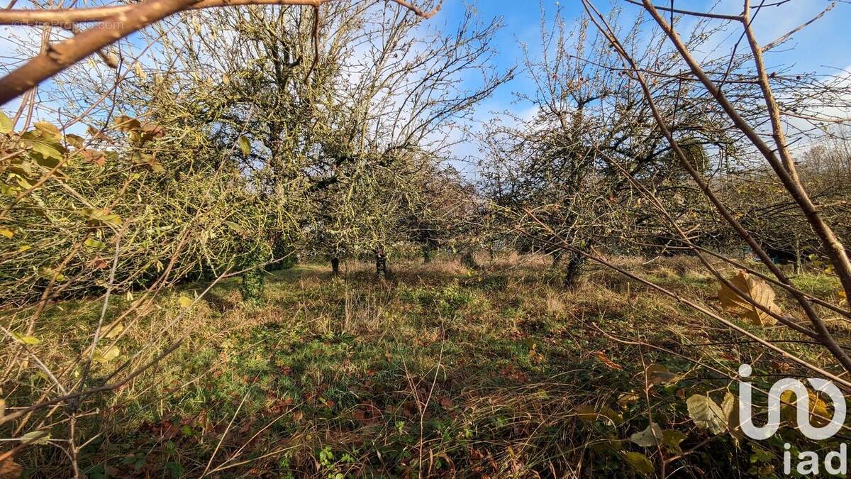 Photo 1 - Terrain à SAINT-GERMAIN-SUR-MORIN