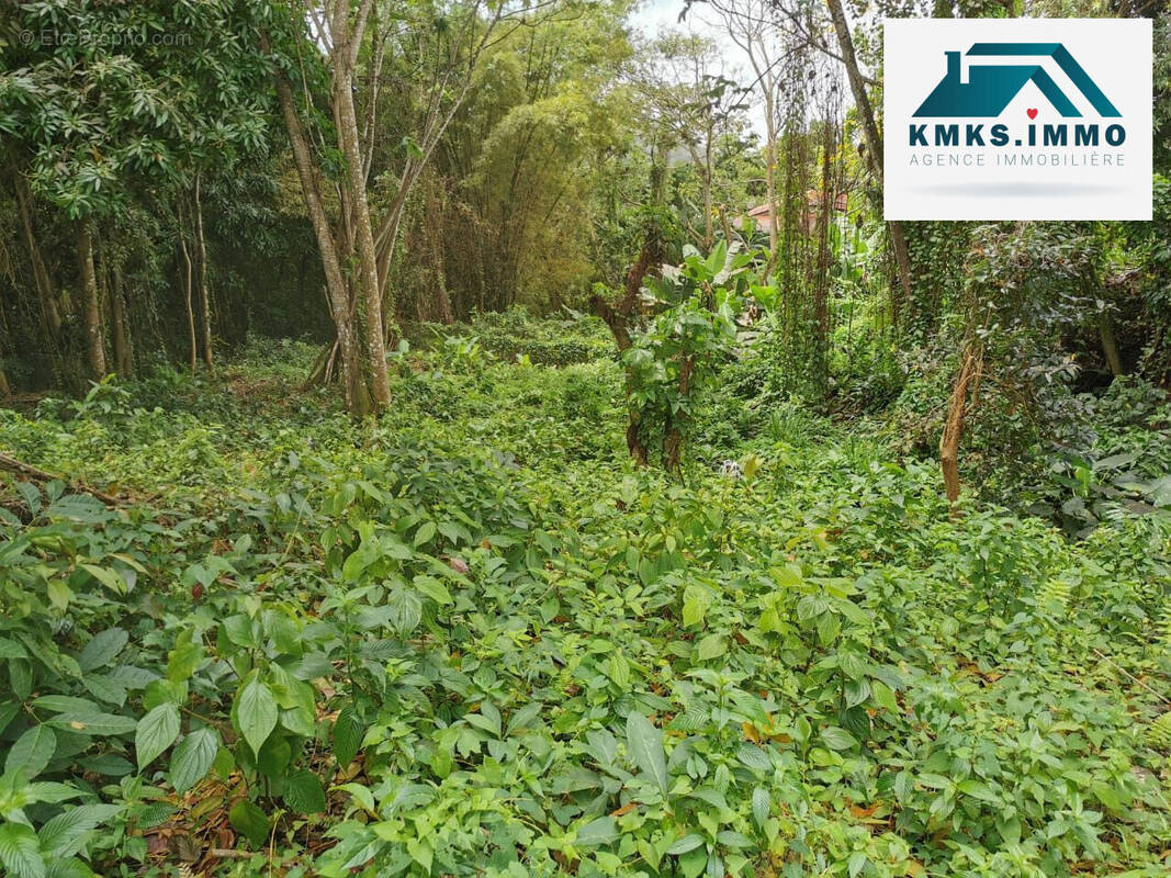 Terrain à SAINTE-LUCE