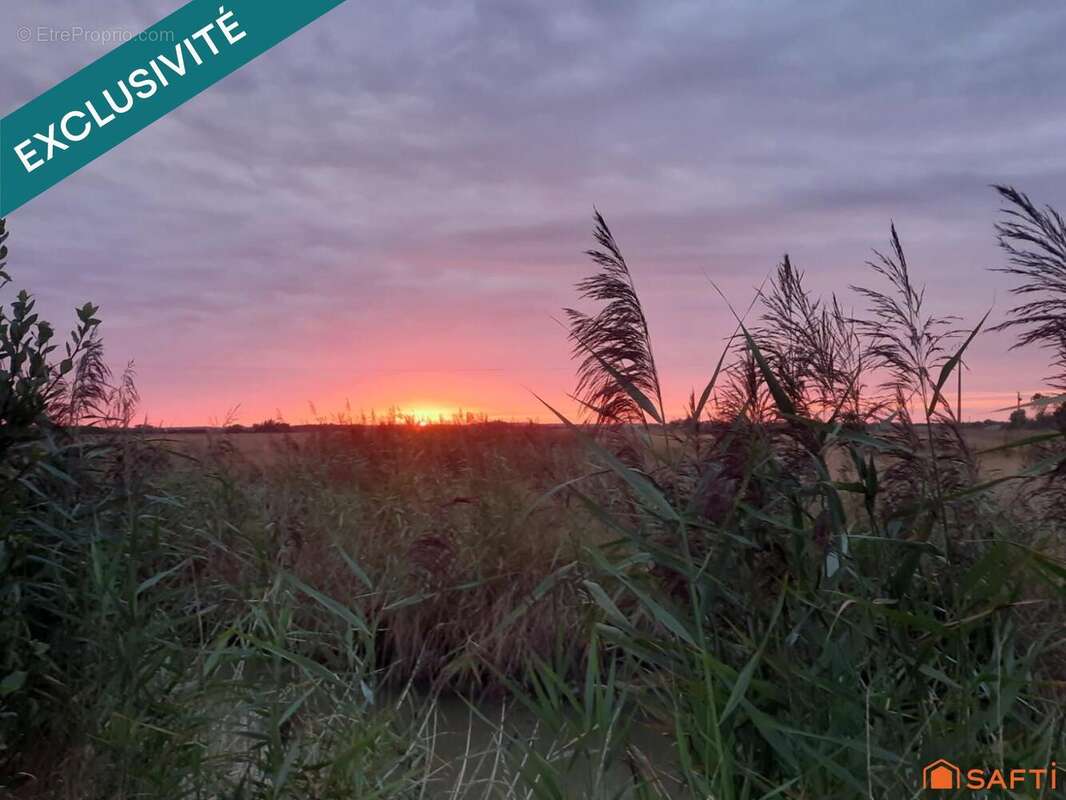 Photo 5 - Maison à LA BARRE-DE-MONTS