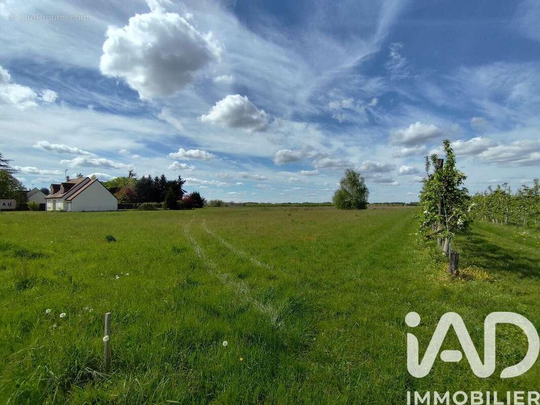 Terrain 2156 m² à Mezieres-Lez-Clery  - photo 5