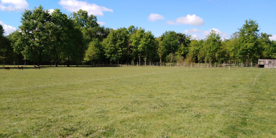 Terrain à BEAUPOUYET