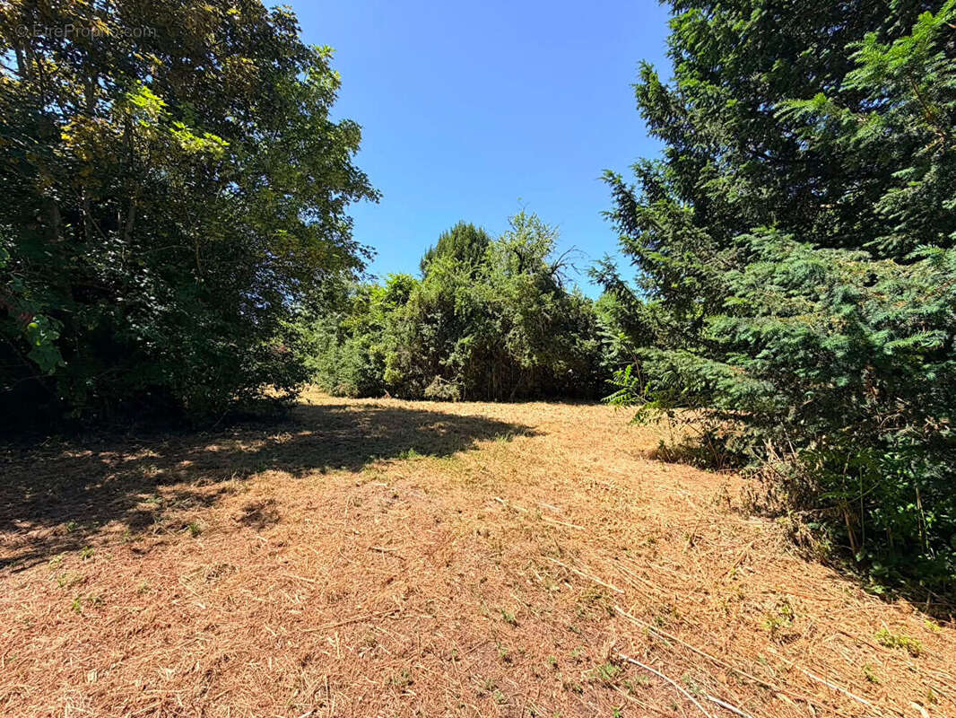 Terrain à LA COURONNE