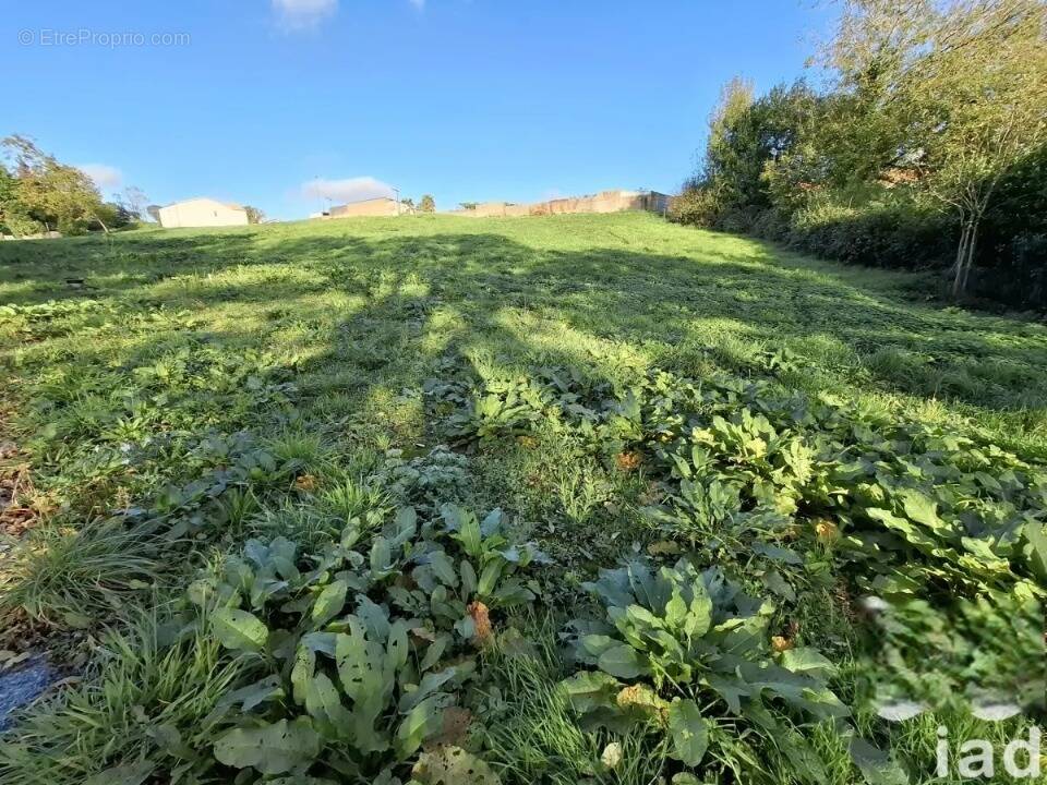 Terrain à LA CHAPELLE-PALLUAU