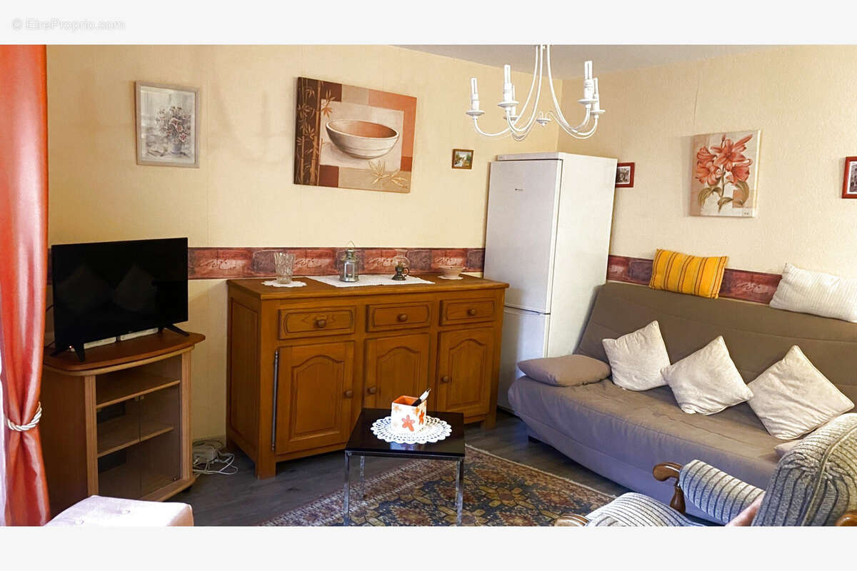 Bel appartement type T3 entièrement meublé à 2 pas des thermes d'Amélie les Bains. Idéal investisseurs ! - photo 3
