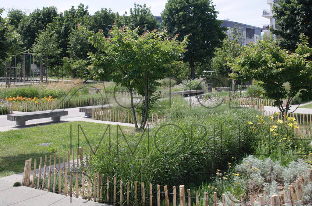 Appartement à MASSY