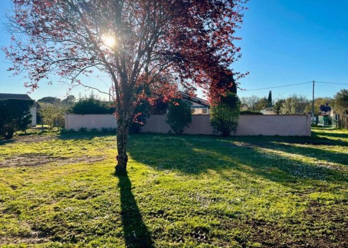 Photo 3 - Terrain à MURET