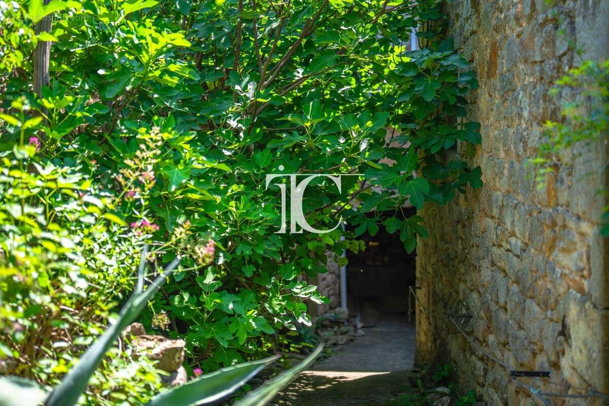 Maison à SAINT-PAUL-LE-JEUNE