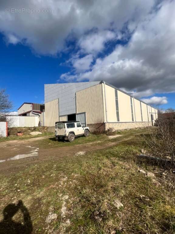 Commerce à SAINT-JEAN-DE-TREZY