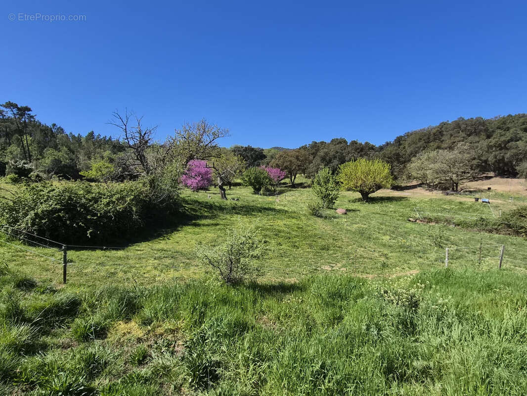 Maison à PLAN-DE-LA-TOUR