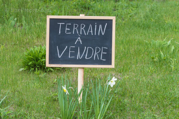Terrain à VARRAINS