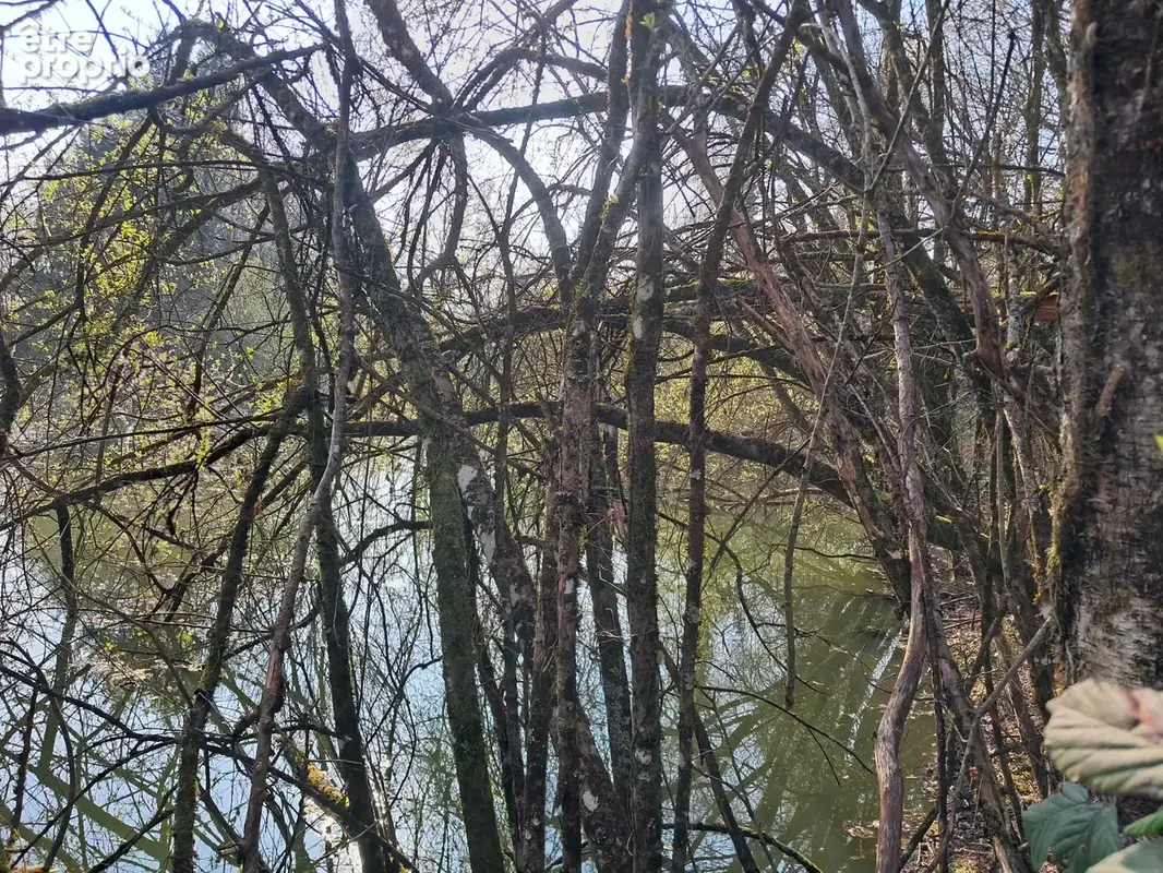 Envie d'une pose nature à concèze ! un cadre avec point d'eau - photo 2