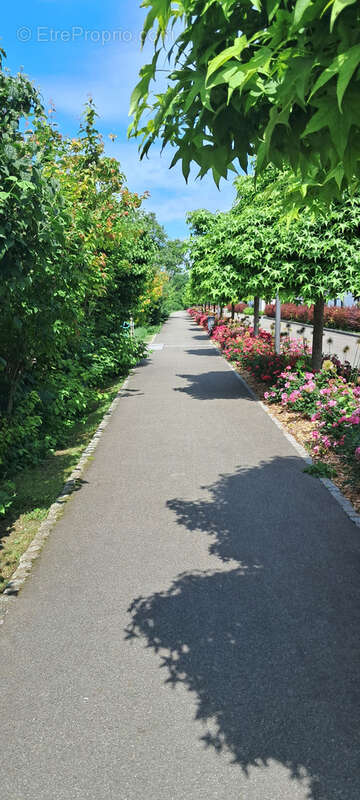 Commerce à HUNINGUE