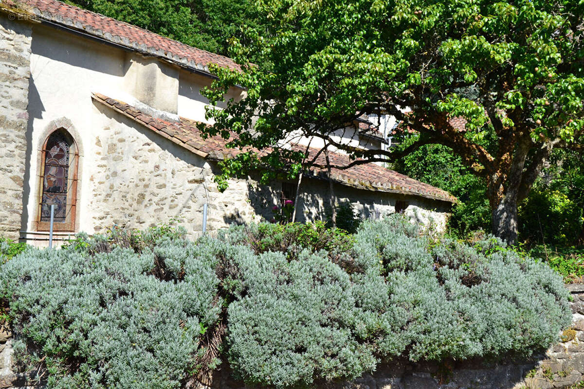 Courniou dans hameau Maison  ancienne avec joli jardin - photo 7