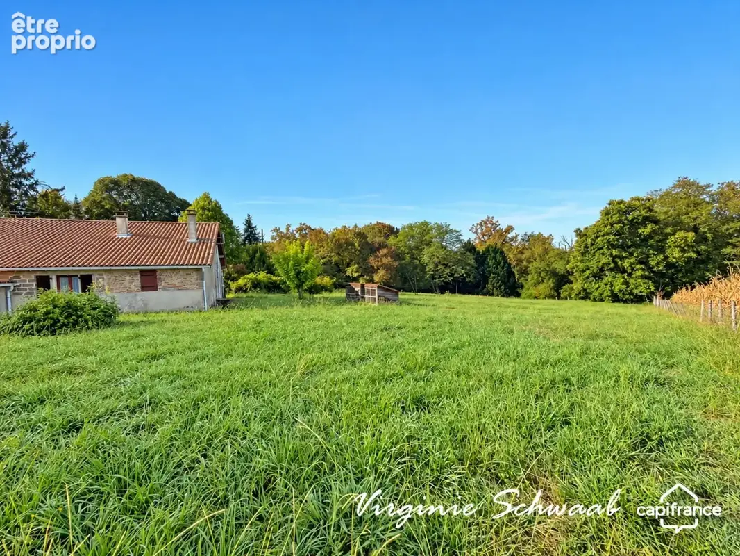 Mimbaste (40), ferme landaise de plain-pied - 4 chambres - dépendances - terrain 4 500 m² - photo 19