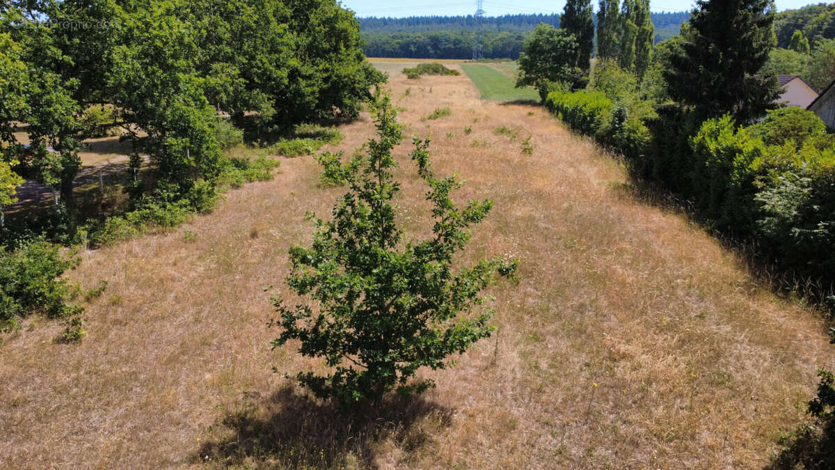 Terrain Yville Sur Seine 7514 m2 - photo 7