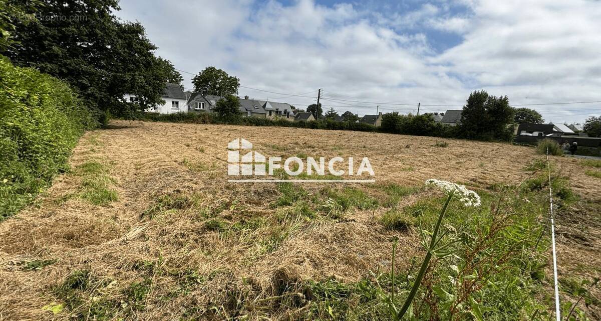 Terrain à LE TRONCHET