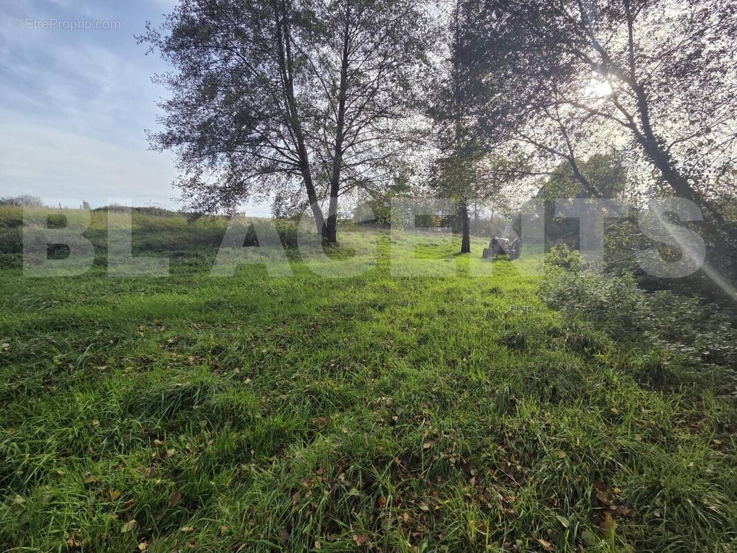 20251113_142041 - Terrain à CERANS-FOULLETOURTE