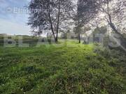 20251113_142041 - Terrain à CERANS-FOULLETOURTE