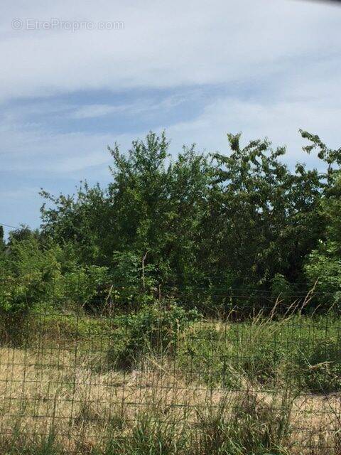 Terrain à VENDEUVRE-DU-POITOU