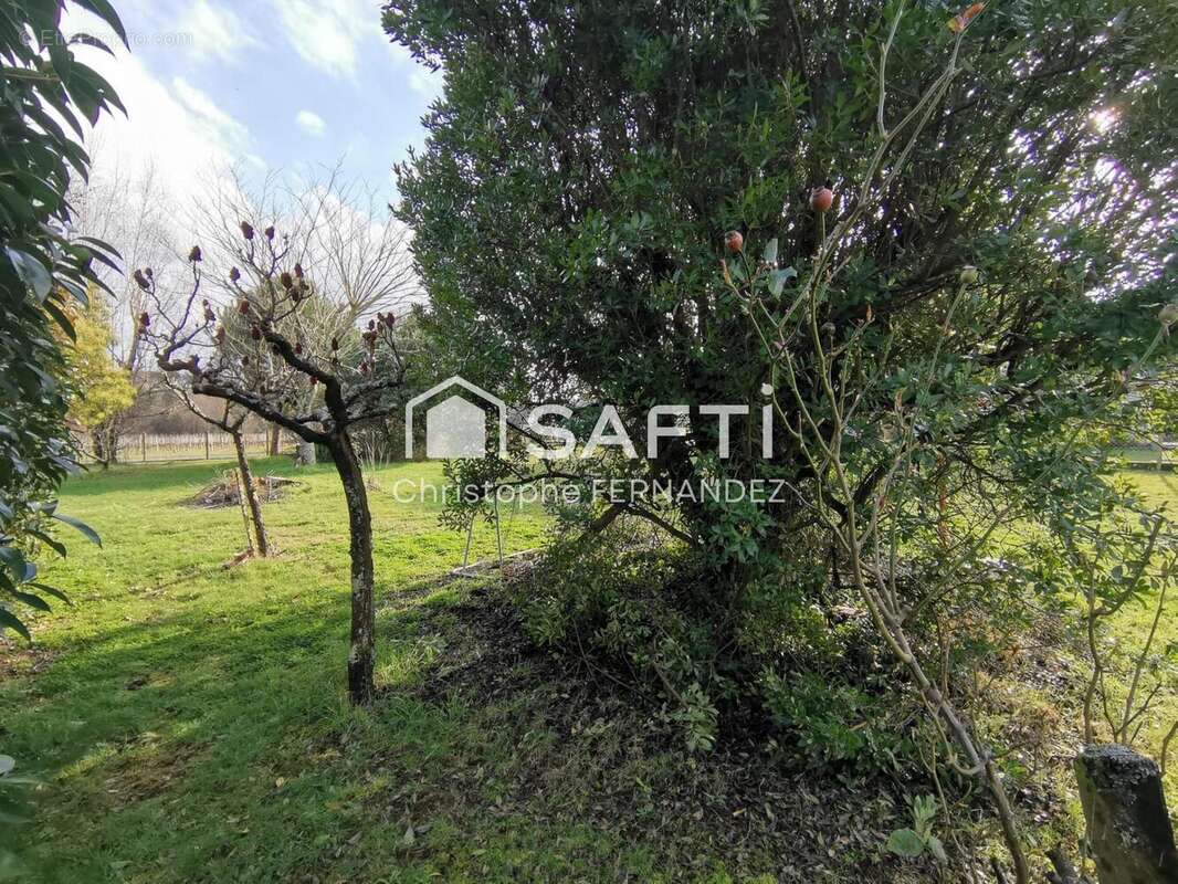 Photo 2 - Terrain à BERSON