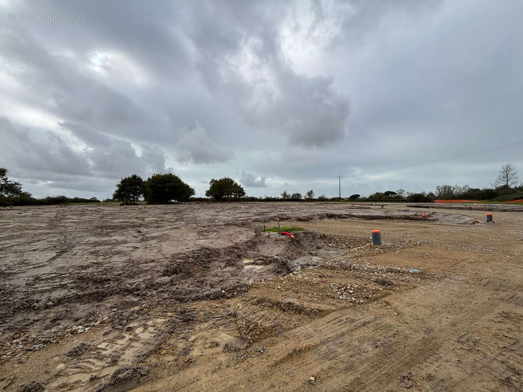 Terrain à SALLERTAINE