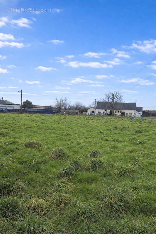 Terrain à NOZAY