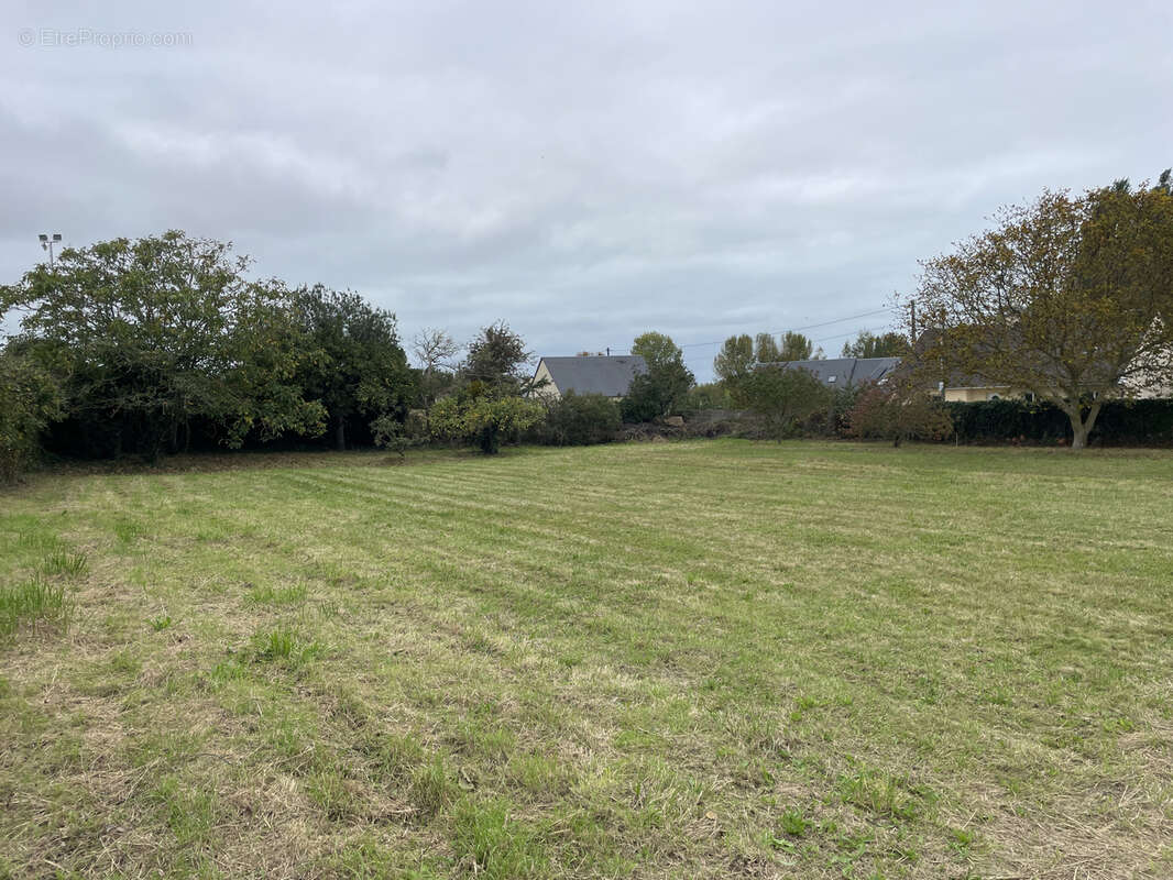 Terrain à QUETTREVILLE-SUR-SIENNE