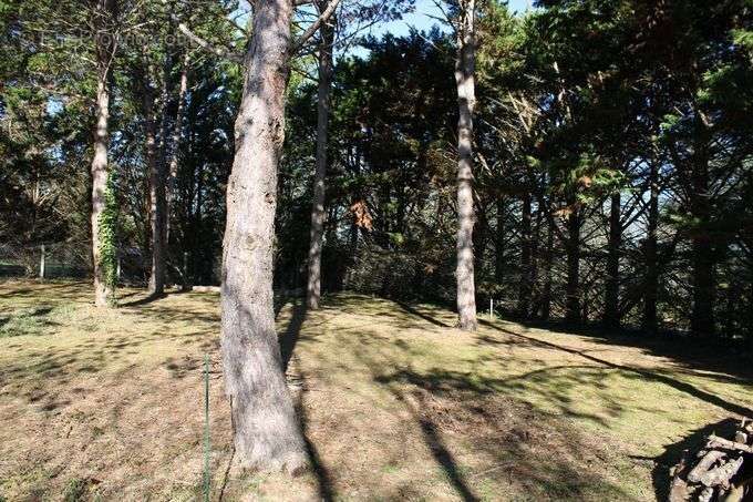 Terrain à FLEURANCE