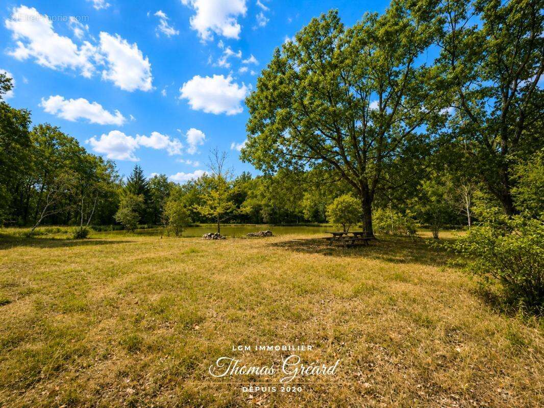 Terrain de loisirs 19 969 m² avec étang de pêche à Mur-de-Sologne - photo 6