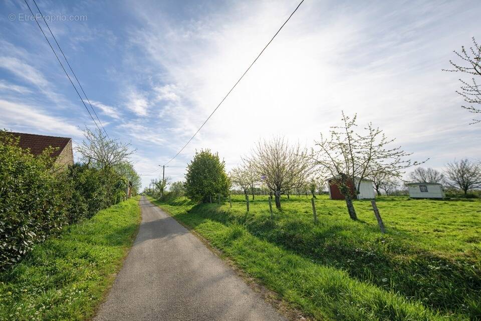 Terrain à CELON