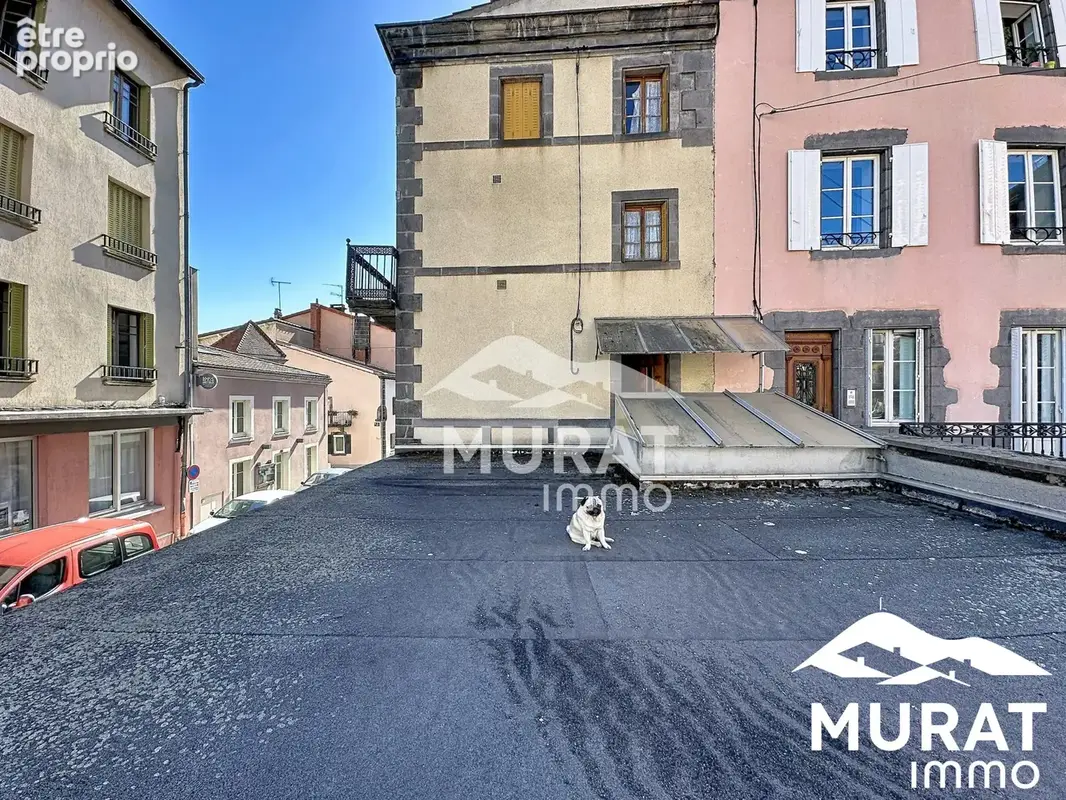 Appartement 8 pièces 240 m² à vendre à Volvic (63530) - photo 4