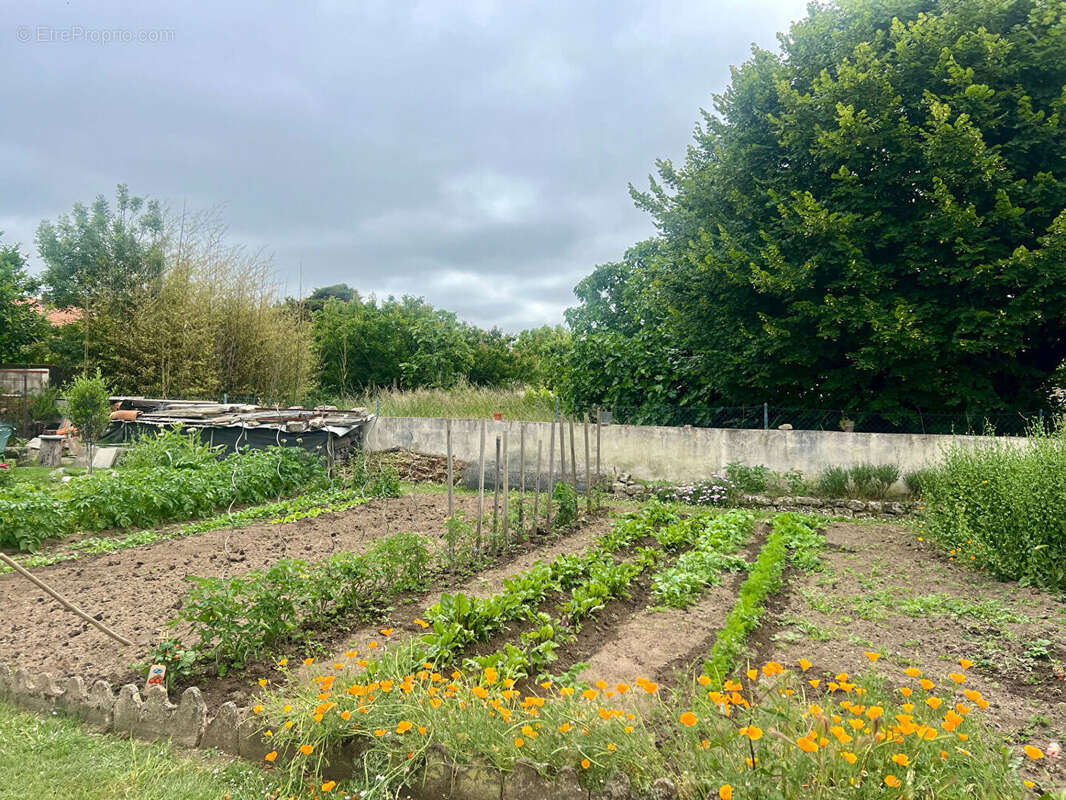 Maison à BOURCEFRANC-LE-CHAPUS