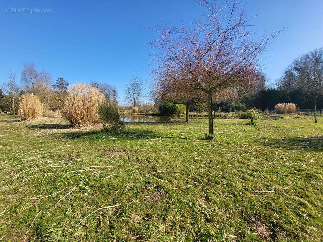 Maison à VITZ-SUR-AUTHIE