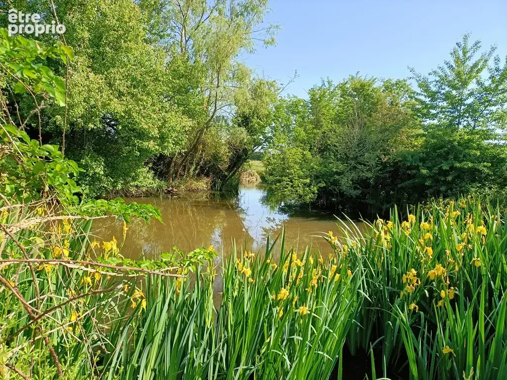 Propriété sur 1hectare6 - photo 7