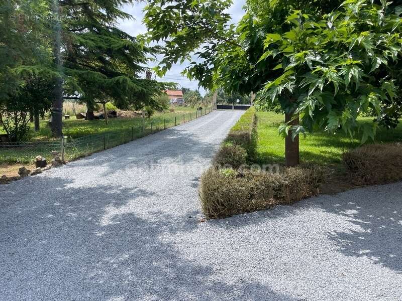 Grande propriété + 9 pièces comprenant 2 logements – 264 m² – Terrain arboré – Sans vis-à-vis Situation  Labessière-Candeil – À  - photo 3