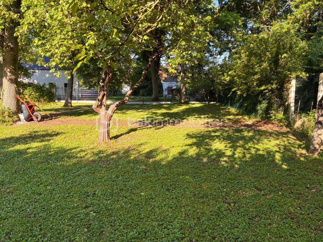 Terrain à LIVRY-SUR-SEINE