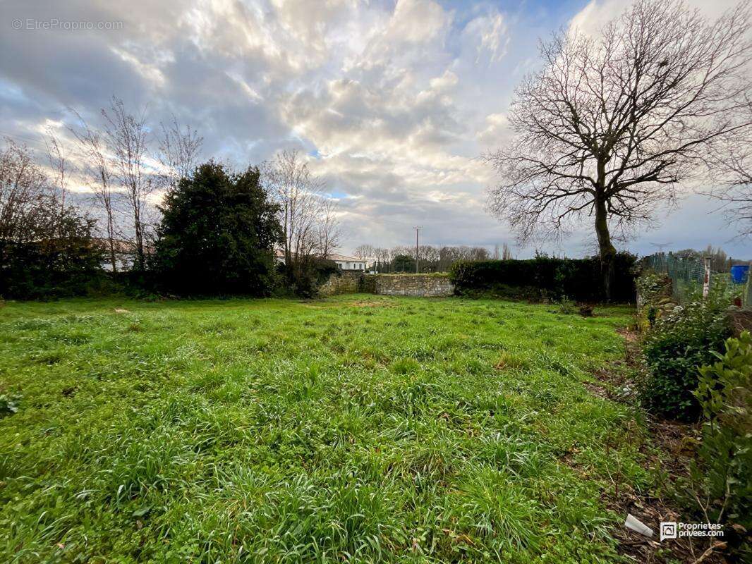 Terrain à SAINT-ANDRE-DE-CUBZAC