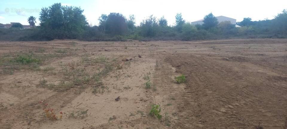 Terrain à SALLES-D'AUDE